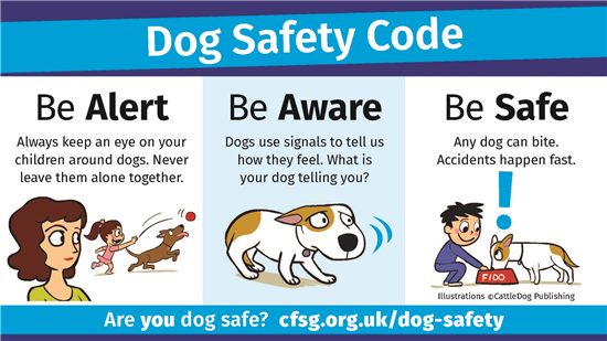 dog safety